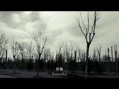 美景-老呼市回勺面(新希望街店)