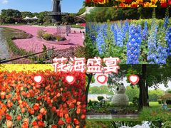 -上海鲜花港