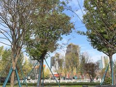 -成都市实验小学(人民中路校区)