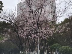 -孝子祠公园