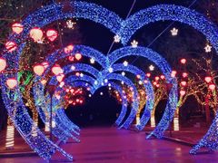 门面-二一九公园