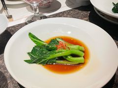 -觀芷隐轩