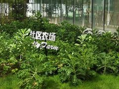 -中国农科院国家农业科技展示园