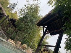 -崇阳三特浪口温泉