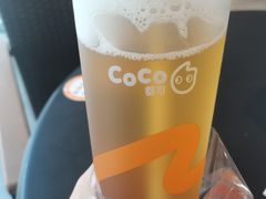 -CoCo都可(文星广场店)