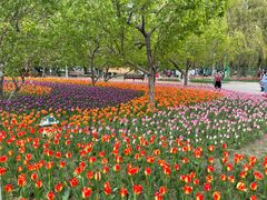 -长春公园(普阳街道)