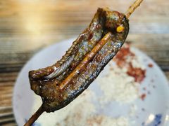 鳝鱼-晓靖轩烧烤(沙河风情店)