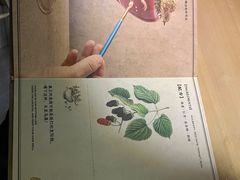 -GOEN·缘