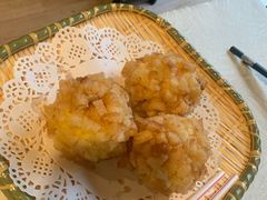 -丁老爷子苏香圆