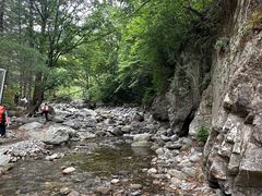 -秦岭风景区
