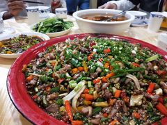 -东吴霸王兔(松青路店)