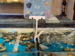 -盛宴标帜西餐厅龙虾.鲍鱼•牛排(重庆喜来登大酒店)