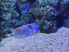 -郑州海洋馆