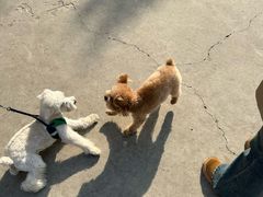 -小意思咖啡店(草桥店)