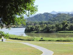 -风云岭森林公园