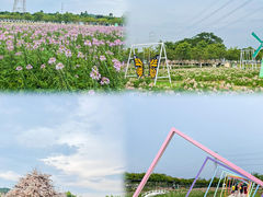 -盈香心动乐园