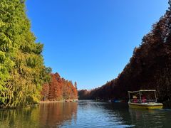 -上海海湾国家森林公园