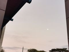 -东莞植物园