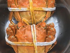 -黄记大闸蟹专卖店·活蟹·醉蟹