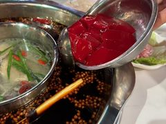 -枇杷园食为鲜火锅(南山店)