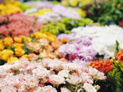 -双季花艺园艺市场(浦东店)