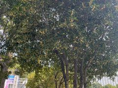 -宁波国际会展中心