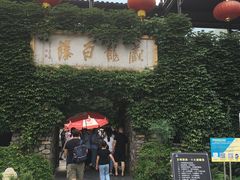 -藏龙百瀑风景区