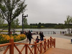 -东郊湿地公园