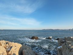 -养马岛旅游度假区