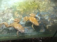 -哈尔滨北方森林动物园