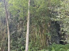 -高荡千年布依古寨旅游景区