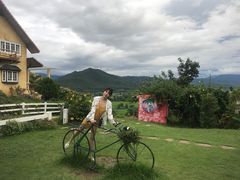 -黄色小屋