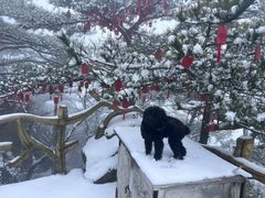 -罗田天堂寨风景区