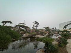 -罗红摄影艺术馆