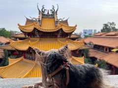 -梵天禅寺