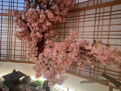 -汤泉良子.足疗按摩.SPA(中关村店)