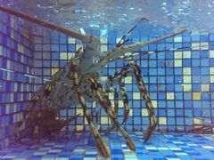 android_upload_pic-渔家海鲜舫(宝湖路店)