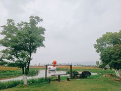 -径山花海
