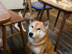 -三目仓咖啡(贤南路店)