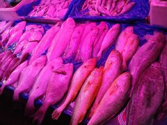 -清真老马家海鲜大排档(台东店)