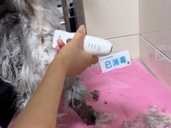 -北京观赏动物医院·24小时大型综合·猫专科·异宠专科
