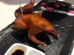 -侨美·唐荔园·40年地道粤菜