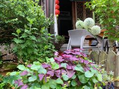 -春娟茶楼·地道农家菜(梅家坞店)