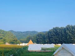 -紫海香堤香草艺术庄园