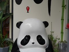 -马记清真肺片(玉林中横巷)