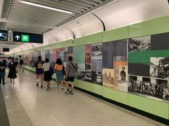 -香港大学