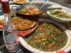 -新概念来凤鱼(璧山店)