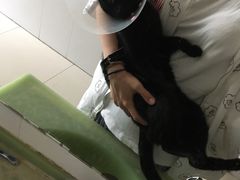 -北京恒爱动物医院(清景园分院)