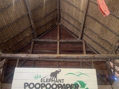 -大象粑粑造纸公园