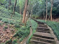 -灵栖洞天